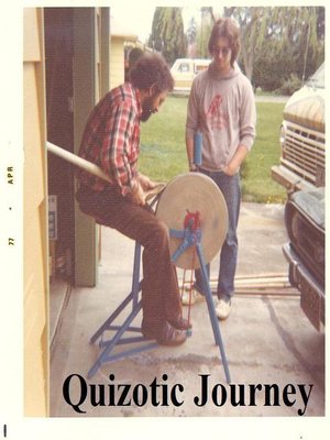 cover image of Quizotic Journey